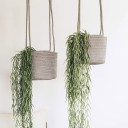 H968 Hanging Planter 6