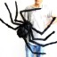 Halloweenská dekorace pavouk 125 cm 3