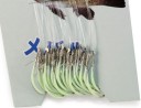 Hameçons de pêche lumineux 2