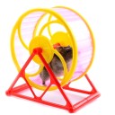 Hamsterin pyörä 2