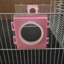 Hamsterin tunnelin yhdistävä väliseinä 3