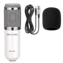 Handheld Microphone 1
