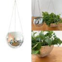 Hangende discobal plantenbak 1