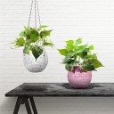 Hangende discobal plantenbak 3