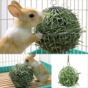 Hanging Hay Ball for Rodents 2