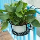 Hanging Plant Pot Holder 6