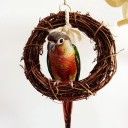 Hanging Ring for Birds 2