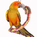 Hanging Toy for Birds C721 8