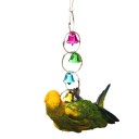 Hanging Toy with Bells for Birds C859 4