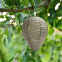 Hanging Wasp Trap 4