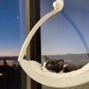 Hangmat voor katten voor het raam met zuignappen 50 x 28 cm Afneembare pluche onderlegger Gebogen ligbed voor glas en balkon 5