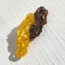 Hårklips Formet som to søheste Dekorativt design Originalt hårtilbehør Til kvinder og piger Til daglig brug 2