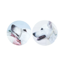 Harnais à muselière en nylon pour chien taille XL Circonférence de la mâchoire 35,6 - 45,7 cm Circonférence du cou 52,6 - 65,5 cm Ajustable et respirant 3