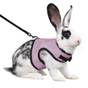 Harnais en maille respirante avec laisse pour furets, lapins et cobayes Harnais réglable pour animaux de compagnie de 1,5 à 3 kg Confort de port 9