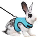 Harnais en mesh respirant avec laisse pour furets, cobayes et lapins de 0,4 à 0,8 kg Harnais doux réglable pour petits animaux domestiques 6