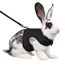 Harnais en mesh respirant avec laisse pour furets, cobayes et lapins de 0,4 à 0,8 kg Harnais doux réglable pour petits animaux domestiques 4