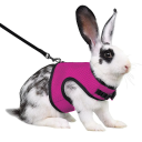 Harnais en mesh respirant avec laisse pour furets, cobayes et lapins de 0,4 à 0,8 kg Harnais doux réglable pour petits animaux domestiques 8