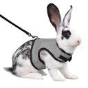 Harnais en mesh respirant avec laisse pour furets, cobayes et lapins, sangle réglable, confort de port pour animaux de compagnie de 0,2 à 0,5 kg 4