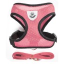 Harnais pour chats et petits chiens 5
