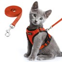 Harnais pour chats 1