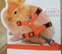 Harnais pour lapins 5