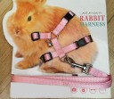 Harnais pour lapins 3