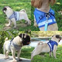 Harness for Cats and Small Dogs C8777 9