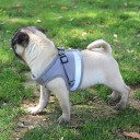 Harness for Cats and Small Dogs C8777 10
