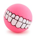 Hauska pallo koirille 9