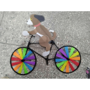 Havedekoration hund på cykel med vindmøller 90 x 50 cm Metalstatue med bevægelige hjul Munter dyredekoration til haven Terrassedekoration 2