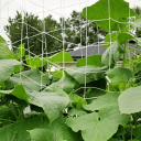 Havenet til planter 3,34 x 10 m Støttenet til klatreplanter Maskestørrelse 15 x 15 cm Holdbart net til grøntsager og blomster 2