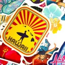 Hawaii klistermärken 50 st E298 6