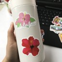 Hawaii Stickers 50 pcs 2