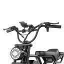 HEADEER BK20 Electric Bike Fat Bike Motor 250 W Battery 48 V 20 Ah Up to 50 km/h Tyres 20 x 4 inches Disc Brakes LCD Display Black 2