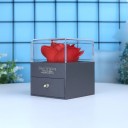 Heart Shaped Projection Necklace I Love You in 100 Languages Titanium Chain Copper Pendant Gift Box with Rose 4