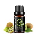 Hedelmäöljy 10 ml diffuusereihin ja kynttilöihin aromaterapiaa varten sisätilojen tuoksuttamiseen ja kotikäyttöön 16