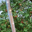 Heijastinnauha lintuja vastaan H934 3