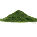 Herbe statique 5 mm 30 g Saupoudrage de modélisme Gazon artificiel pour diorama Chemin de fer miniature Fantaisie miniatures 4