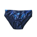 Heren slip zwemshorts Met koord Donkerblauw met strepen Polyester Sneldrogende Sportieve zwemshorts voor strand en zwembad 1