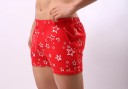 Herenshorts met sterren 1