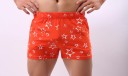 Herenshorts met sterren 2
