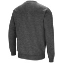 Herensweater met raaf 1