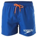 Herrbadkläder Badshorts Badshorts för vattnet Snabbtorkande Avslappnad för stranden och poolen Bekvämt snitt med foder 3