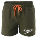 Herrbadkläder Badshorts Badshorts för vattnet Snabbtorkande Avslappnad för stranden och poolen Bekvämt snitt med foder 5