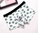 Herre boxershorts i jamaicansk stil - 2 stk. 4
