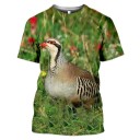 Herre-T-shirt T2294 15