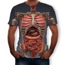 Herre-T-shirt T2309 11