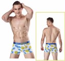 Herreboksershorts - Eksotisk frugt 2