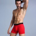 Herreboksershorts Fred 17
