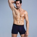 Herreboksershorts Fred 12
